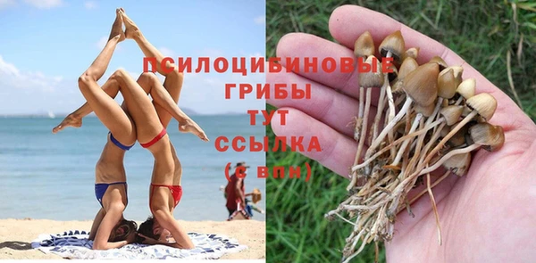 кокаин премиум Белокуриха