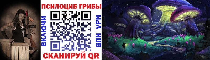 Купить  Бологое  Галлюциногенные грибы GOLDEN TEACHER 