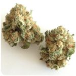 Шишки "White Widow"  (Белая вдова)  Гидропоника -  Бошка VHQ в Бологом