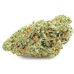 Шишки OG Kush  (Гидропоника, бошки) VHQ в Бологом